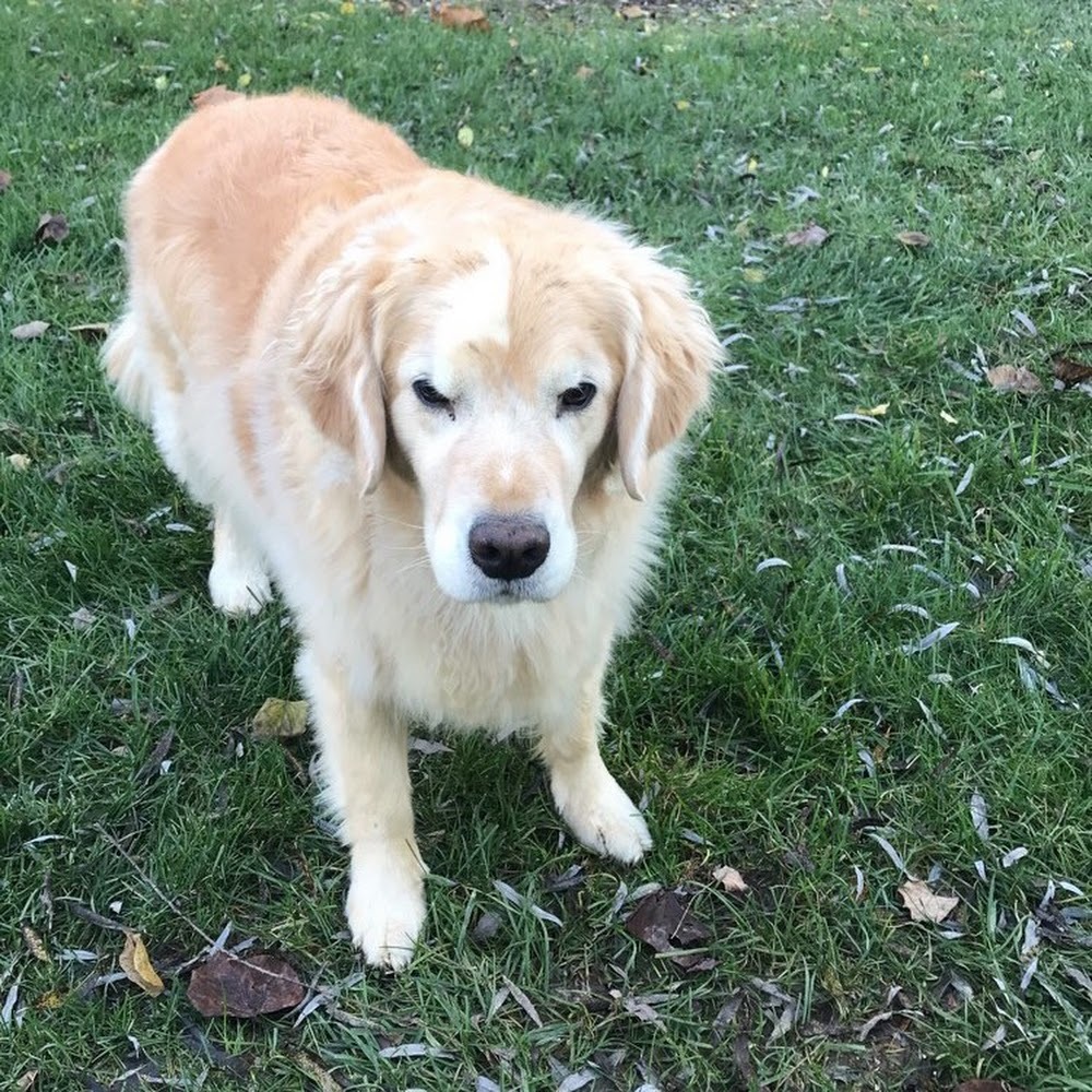 Meet your Posher, Camryn